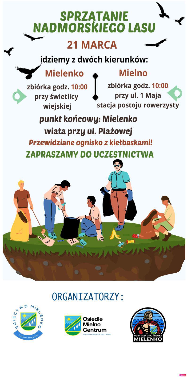 Sprzątanie nadmorskiego lasu